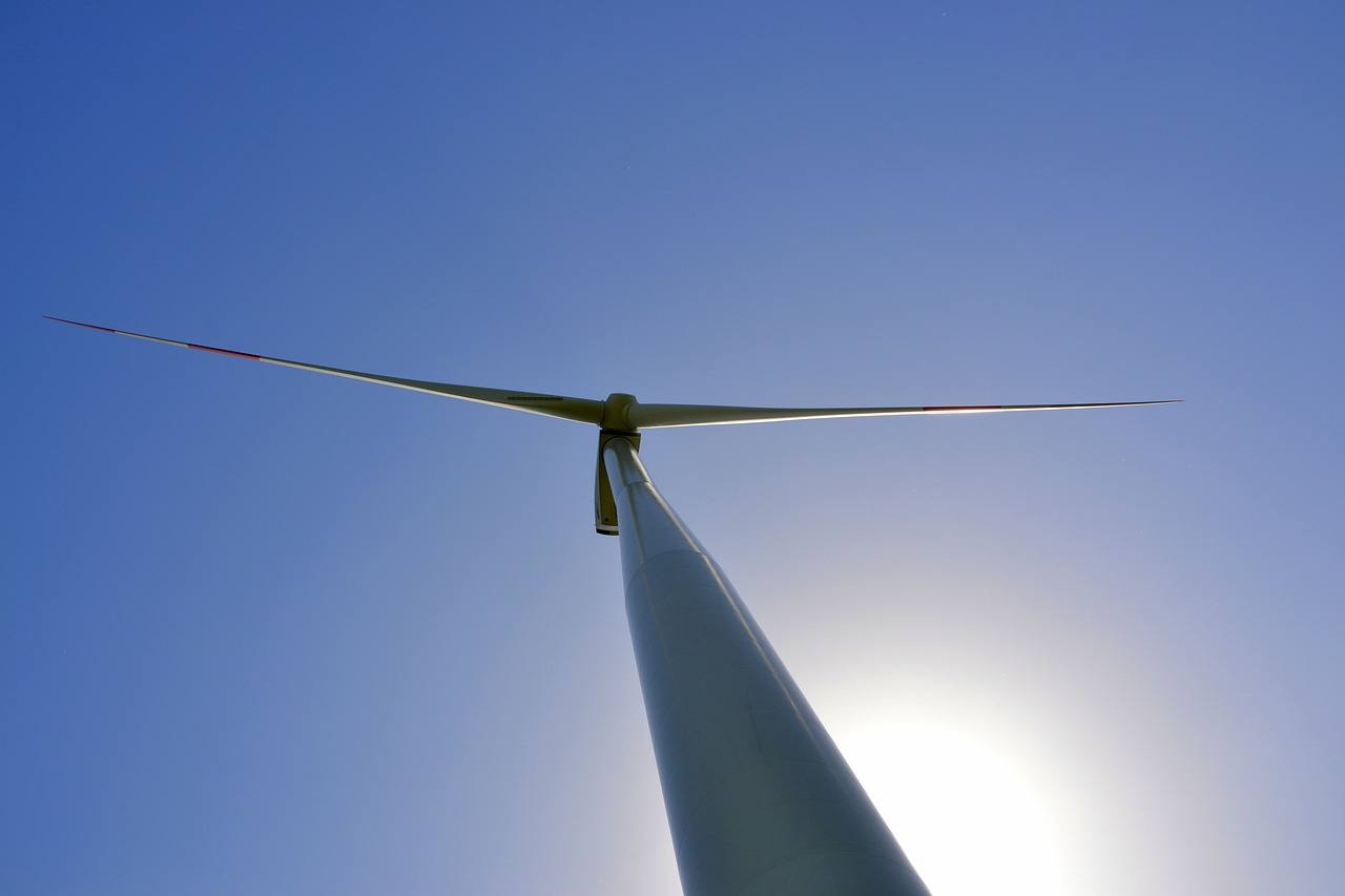 How to Encourage Your Kids to Live Sustainably?